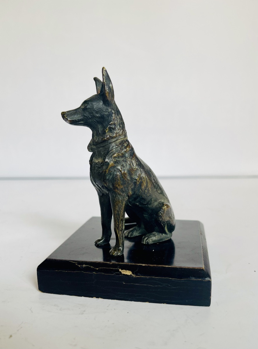 German Bernier Dog In Bronze -photo-2